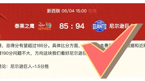 篮球攻略近19战12胜，胜负与总分关键解析
